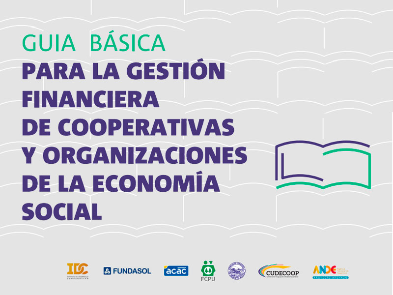 Guía Básica para la Gestión Financiera de Cooperativas y Organizaciones de la Economía Social